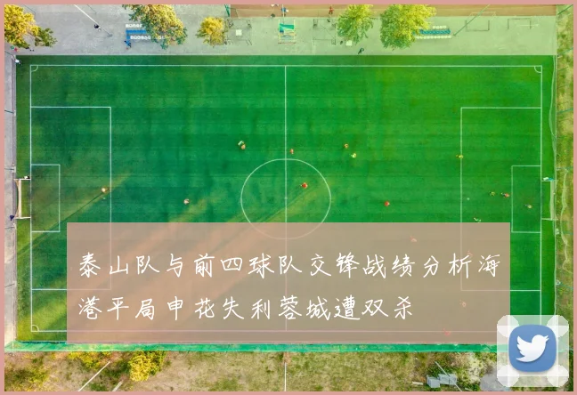 泰山队与前四球队交锋战绩分析海港平局申花失利蓉城遭双杀