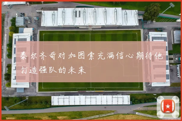 泰尔齐奇对加图索充满信心期待他打造强队的未来