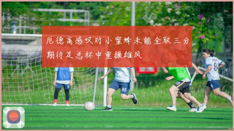 厄德高感叹对小蜜蜂未能全取三分期待足总杯中重振雄风